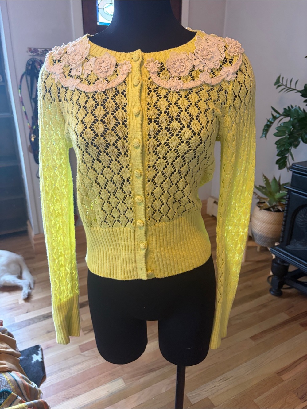 Anthropologie Yellow Lace Knit Button-Front Women's Sweater with Floral Collar